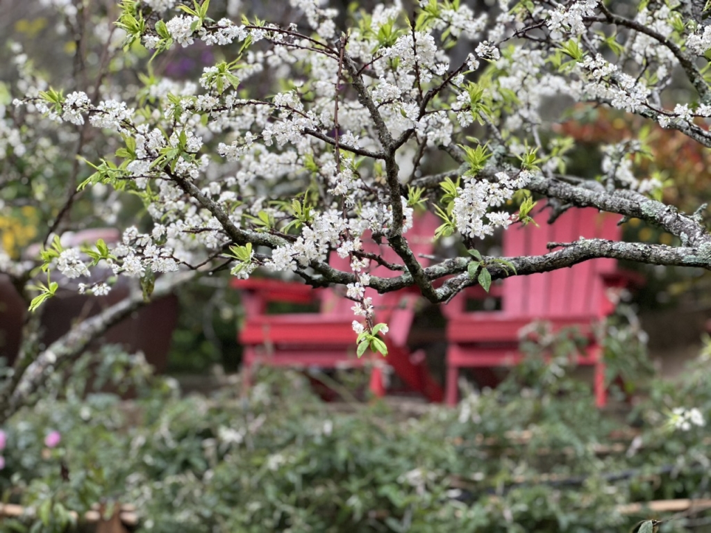 Khải Minh Open Tour
