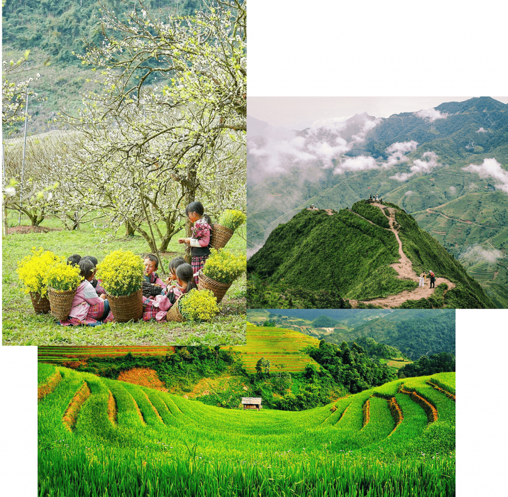 Khải Minh Open Tour