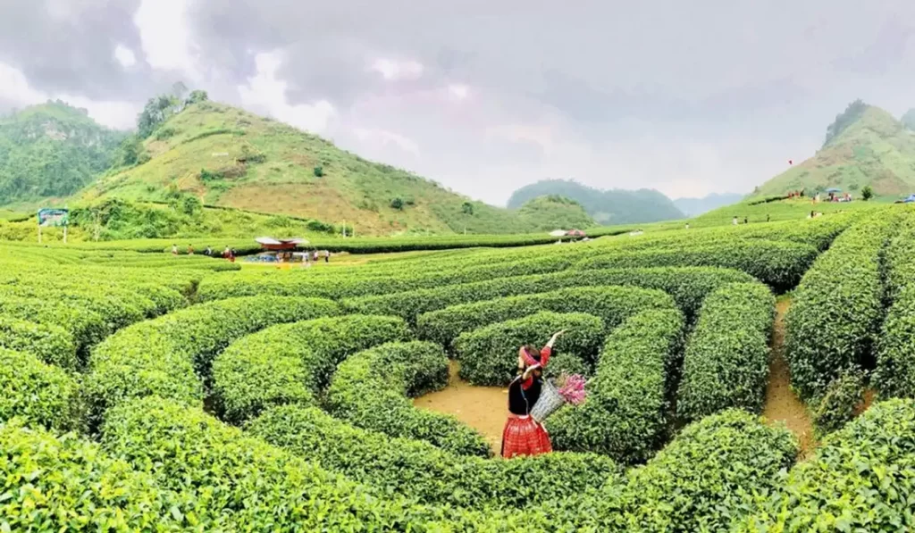 Khải Minh Open Tour