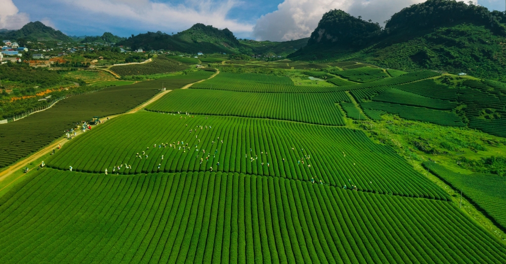 Khải Minh Open Tour