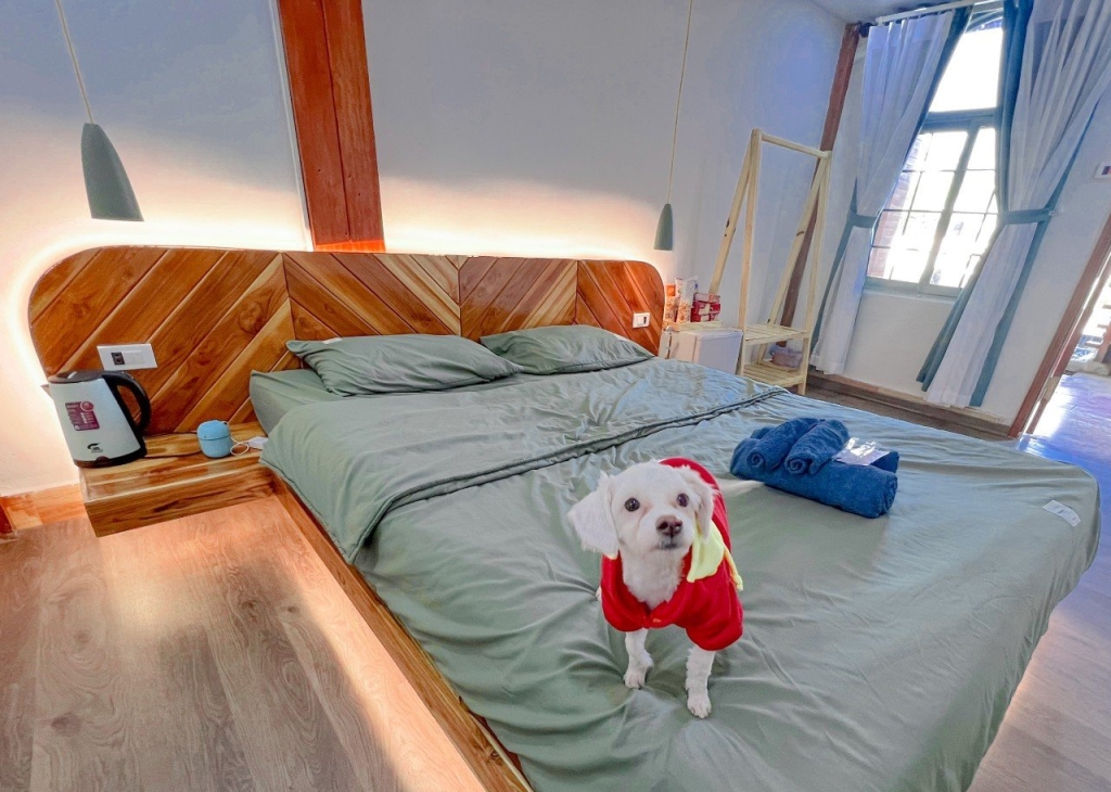 Khải Minh Open Tour