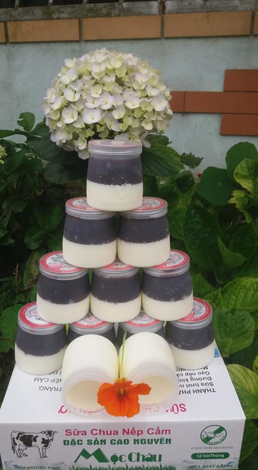 Khải Minh Open Tour