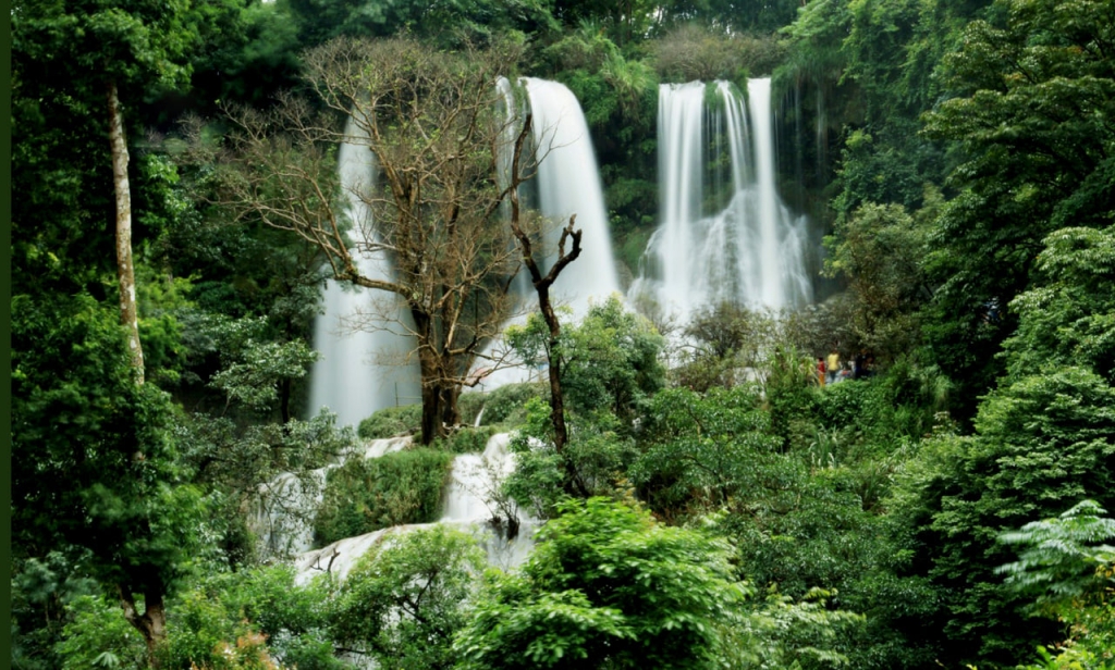 Khải Minh Open Tour