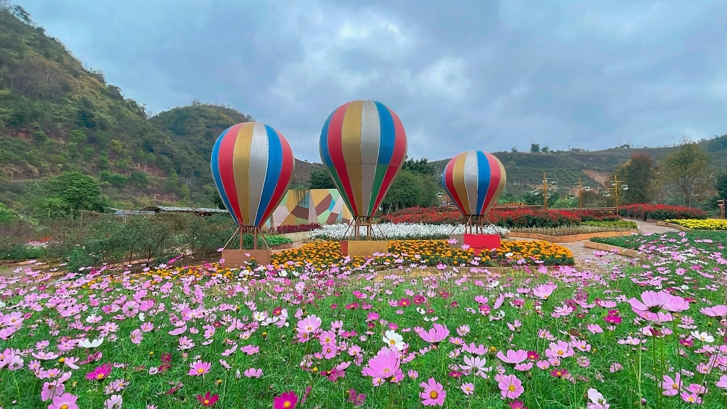 Khải Minh Open Tour