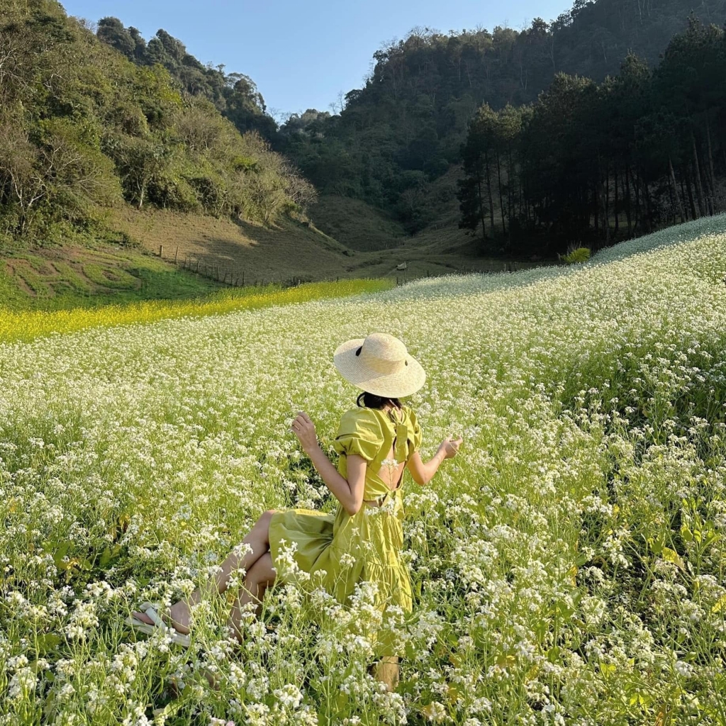 Khải Minh Open Tour