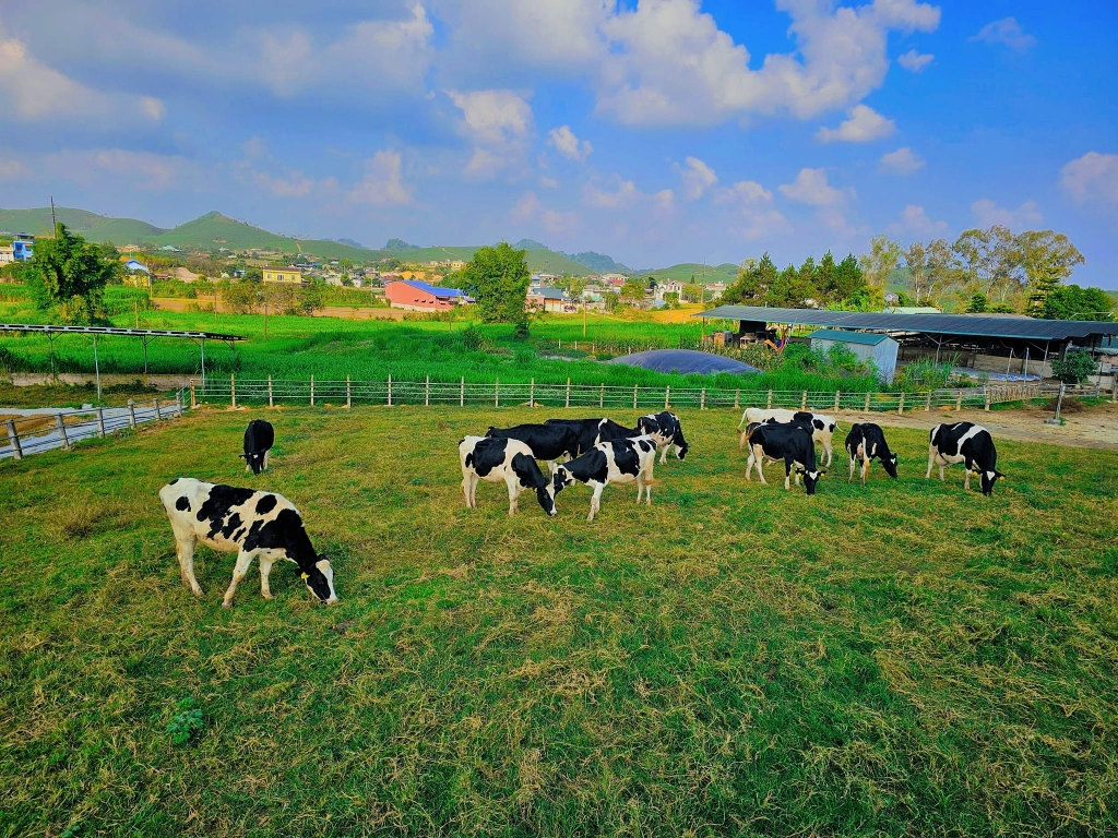 Khải Minh Open Tour