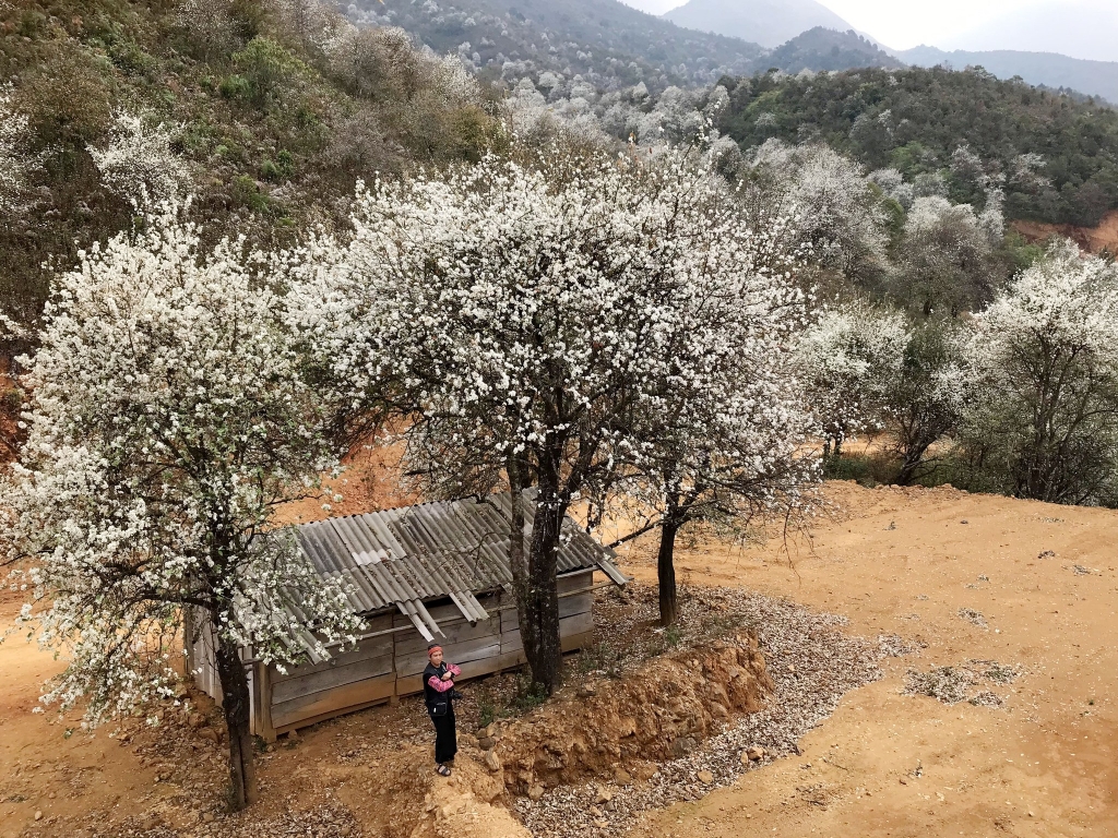 Khải Minh Open Tour