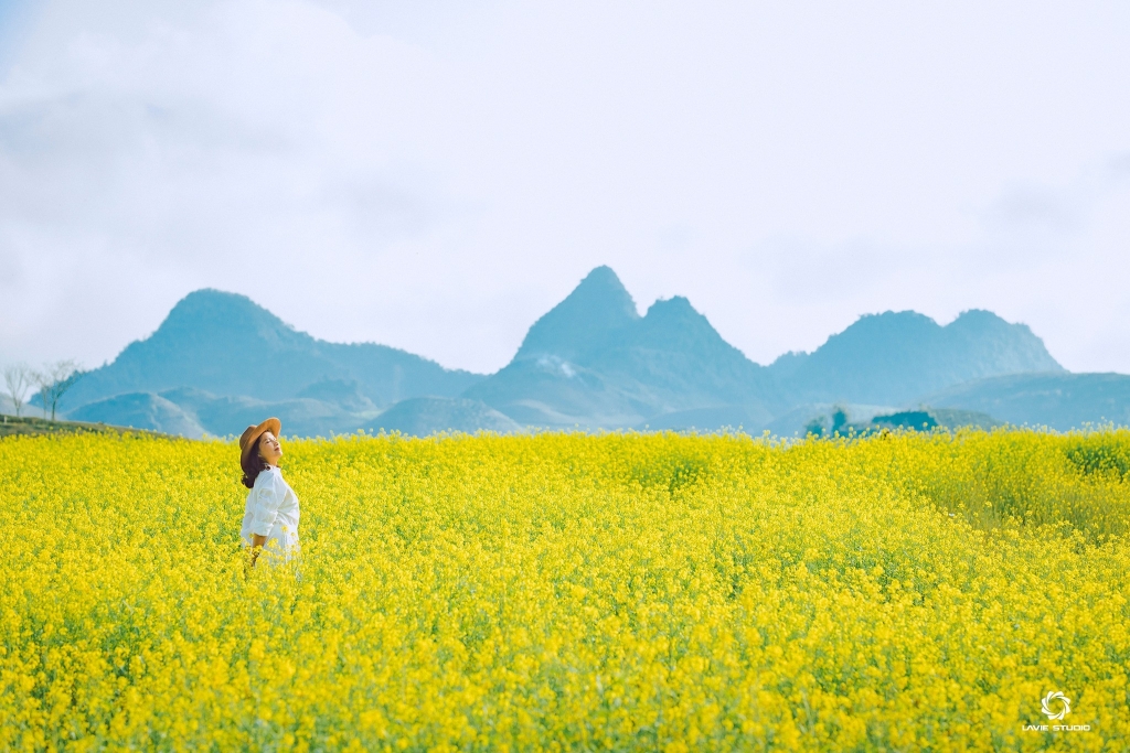 Khải Minh Open Tour