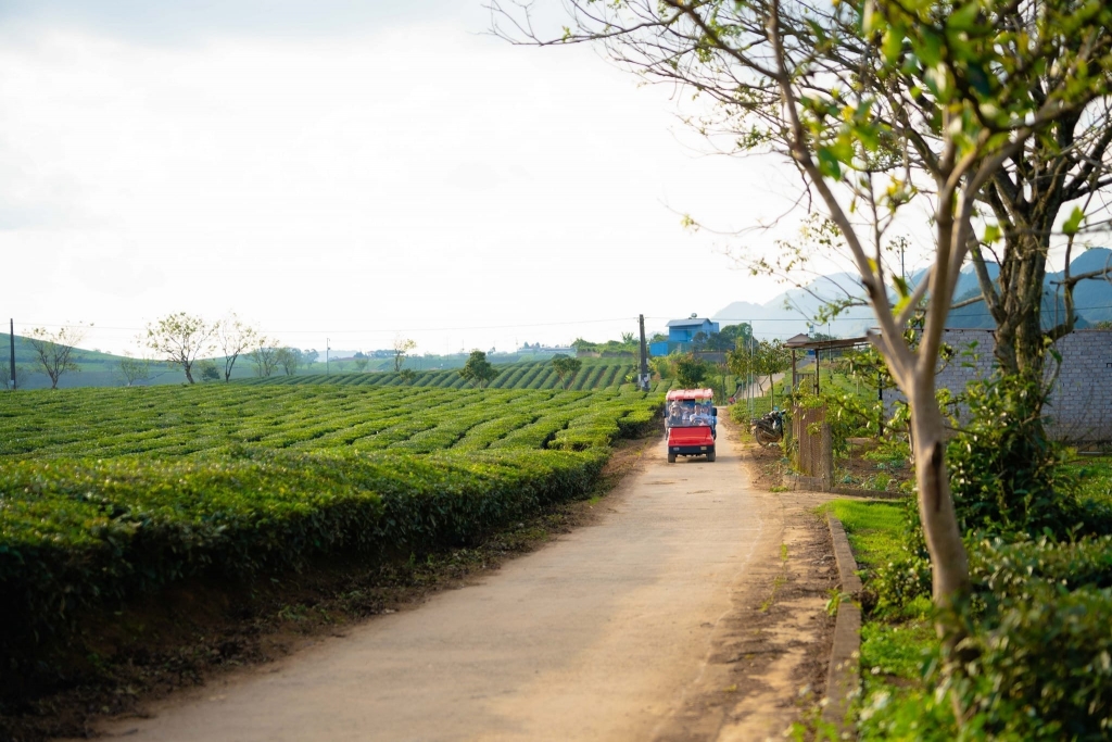 Khải Minh Open Tour