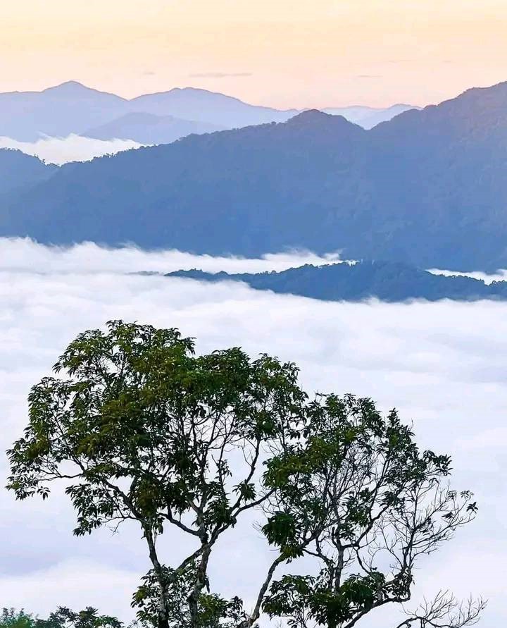 Khải Minh Open Tour