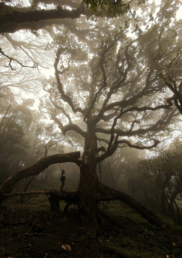 Khải Minh Open Tour