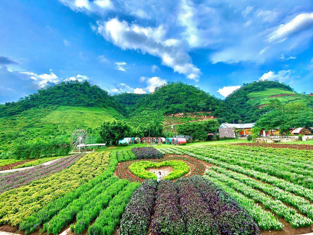 Khải Minh Open Tour