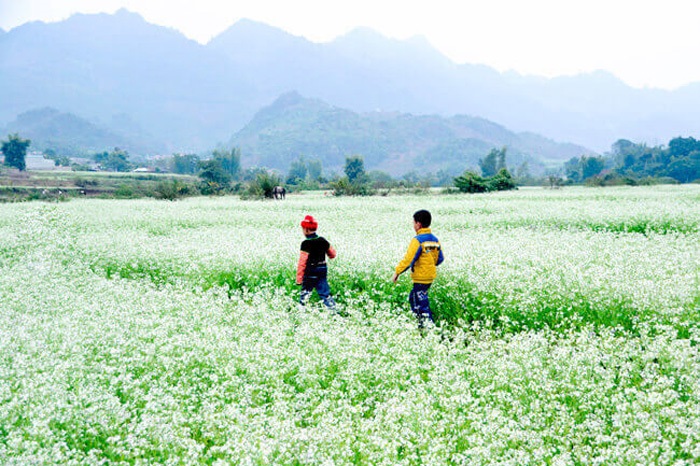 Khải Minh Open Tour