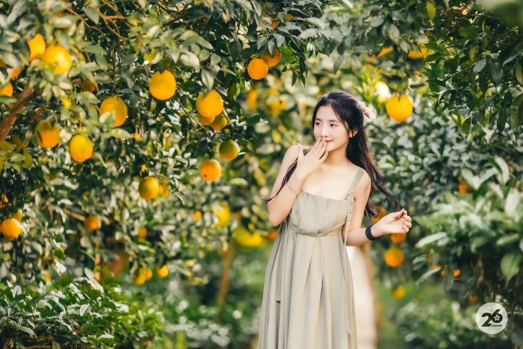 Khải Minh Open Tour