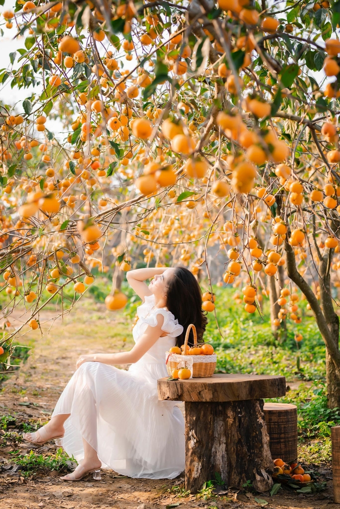 Khải Minh Open Tour