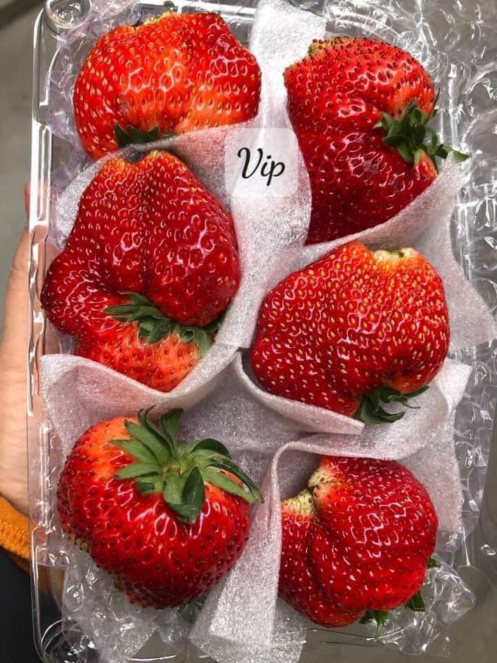 Khải Minh Open Tour