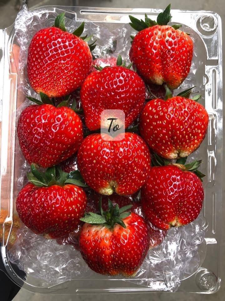 Khải Minh Open Tour