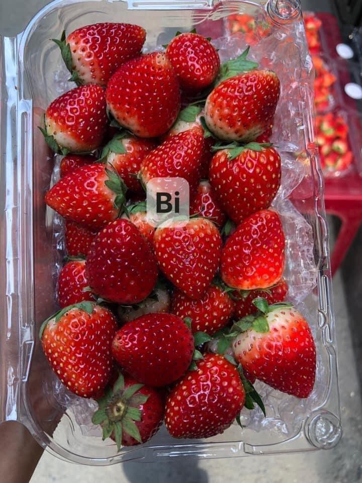 Khải Minh Open Tour