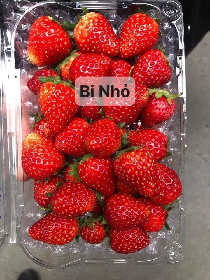 Khải Minh Open Tour