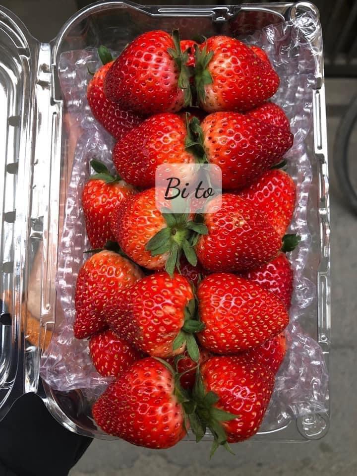 Khải Minh Open Tour