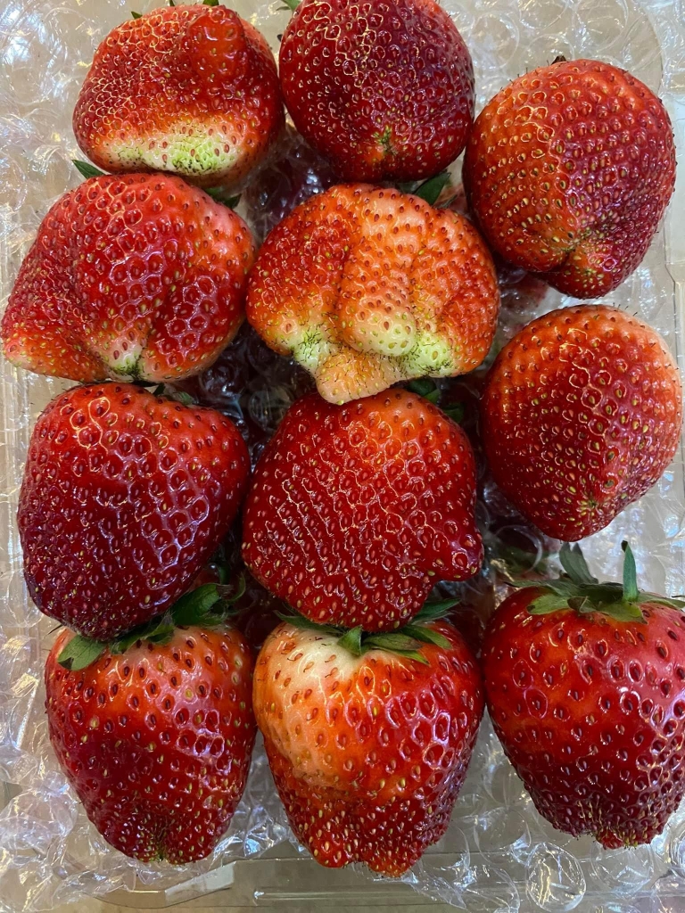 Khải Minh Open Tour