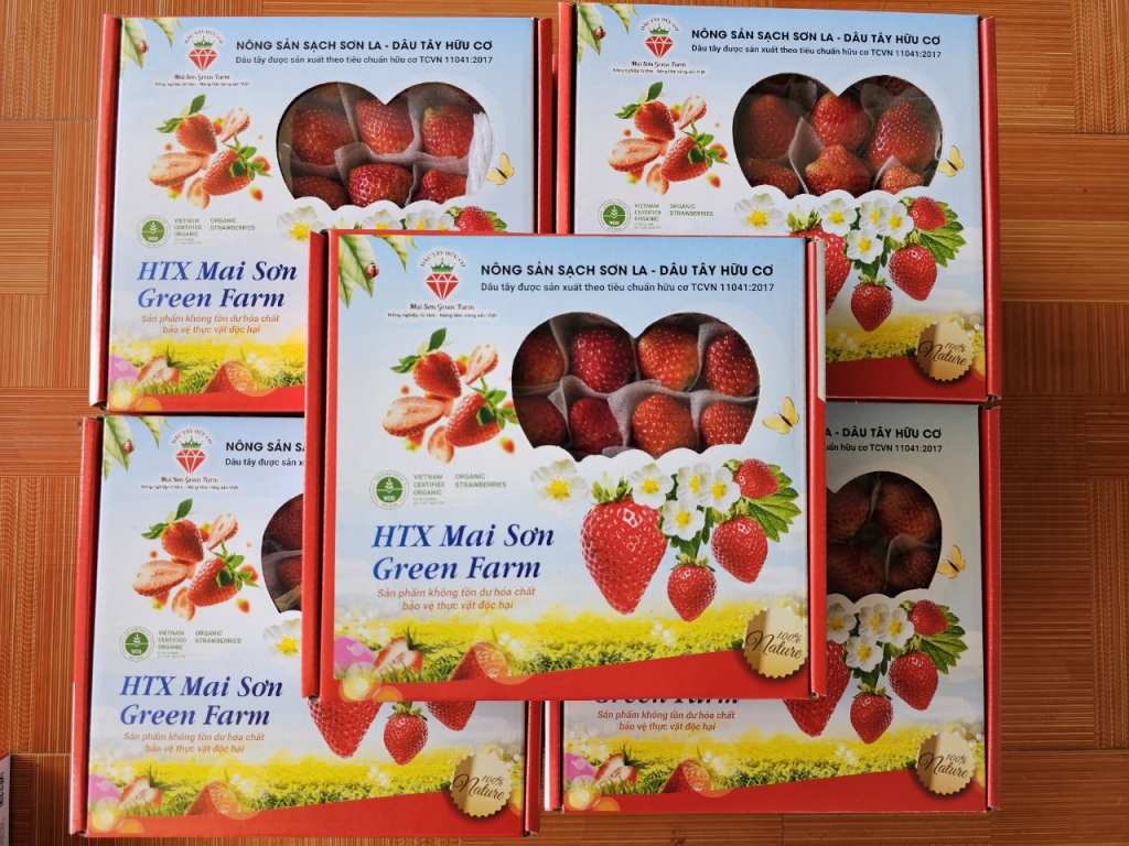 Khải Minh Open Tour