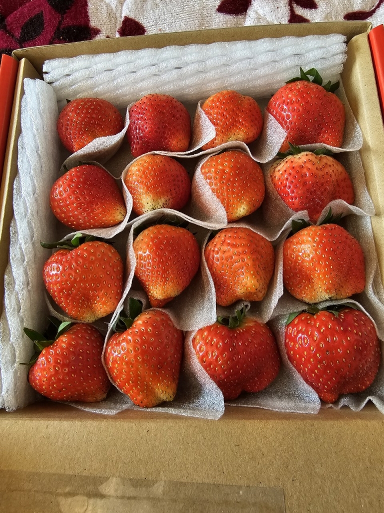 Khải Minh Open Tour