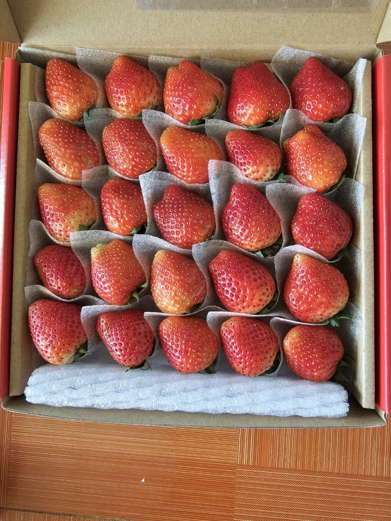 Khải Minh Open Tour