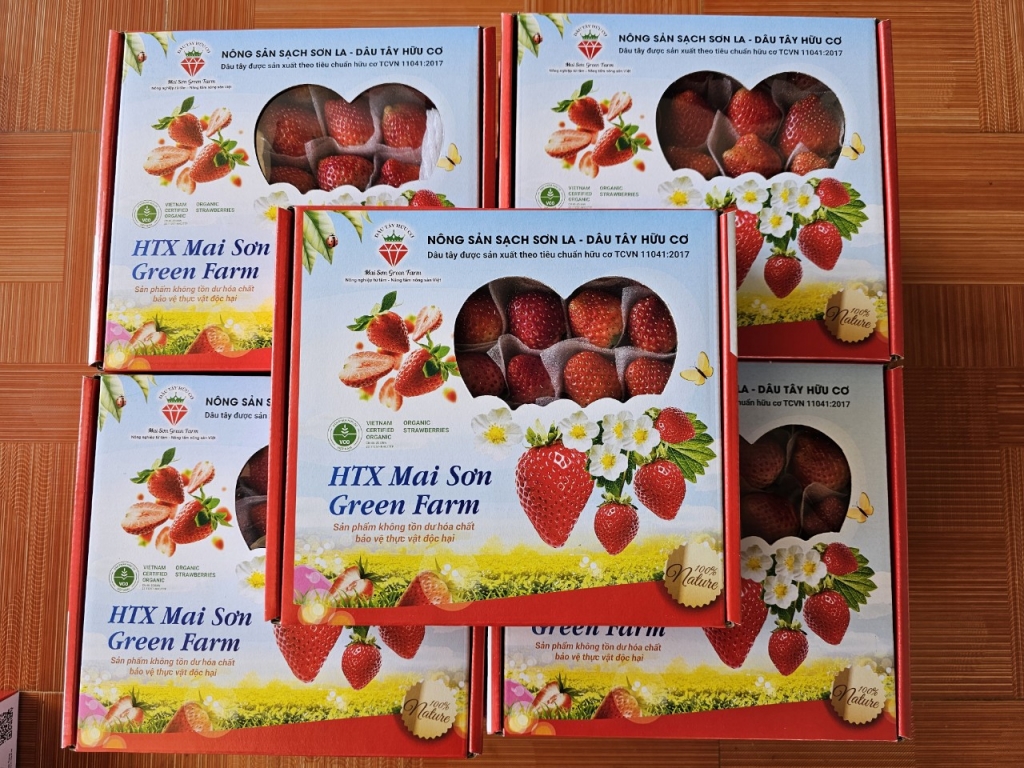 Khải Minh Open Tour