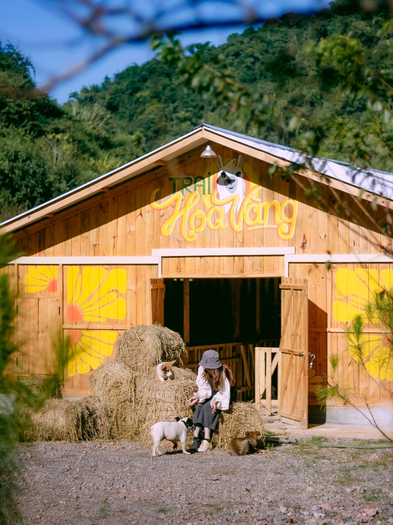 Khải Minh Open Tour