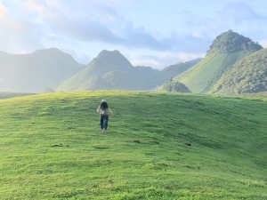 Đồng cỏ Suối Bon