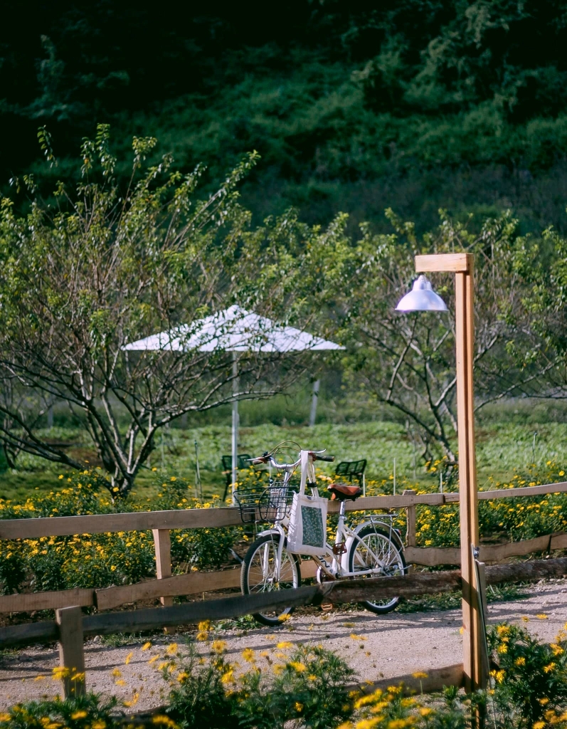 Khải Minh Open Tour