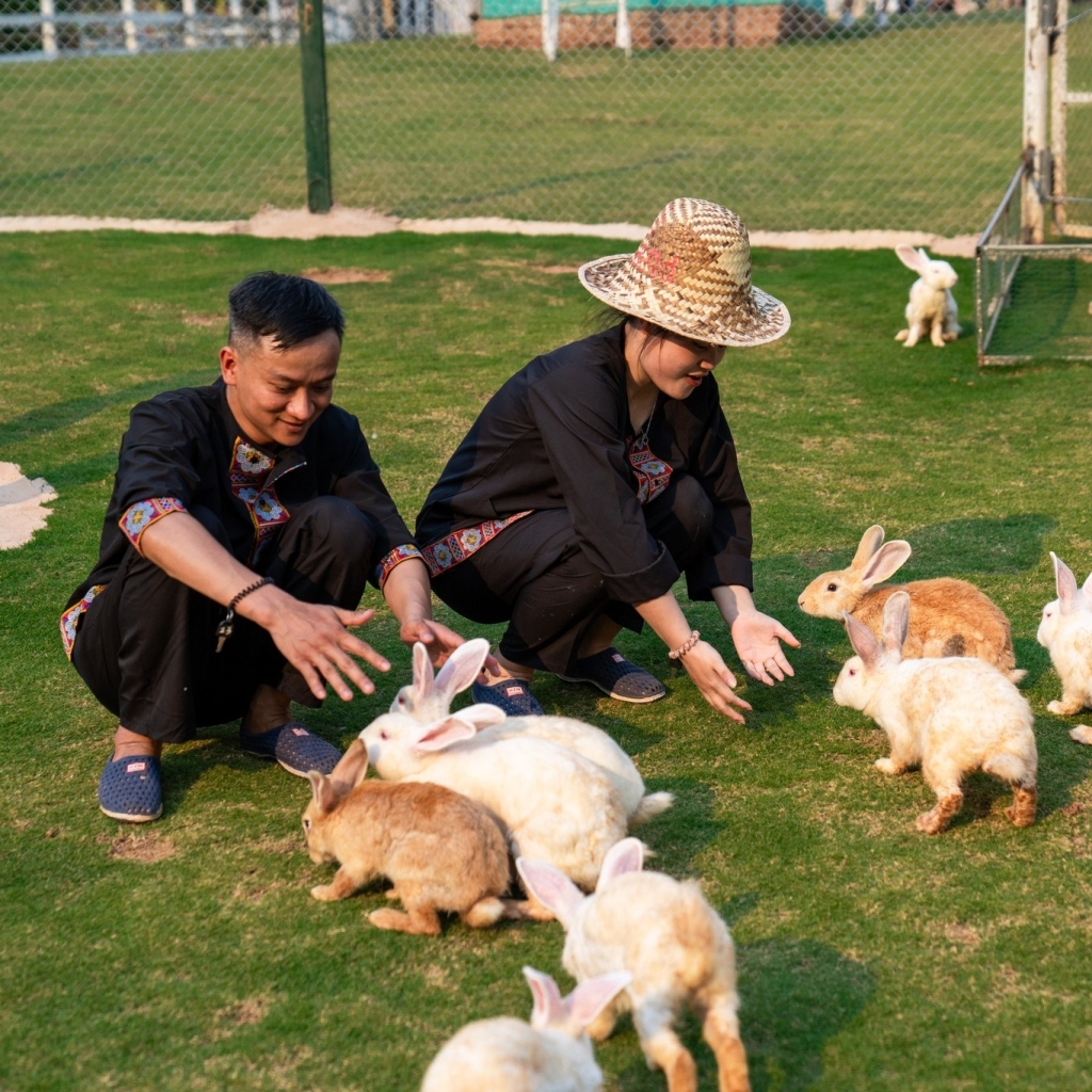 Khải Minh Open Tour