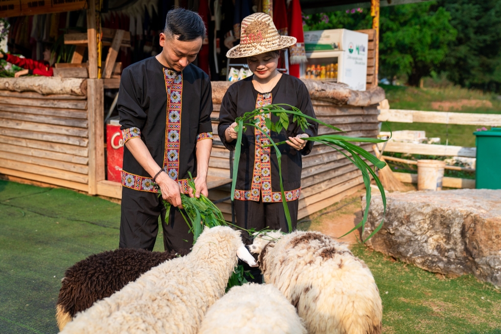 Khải Minh Open Tour