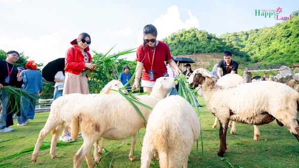 Khải Minh Open Tour