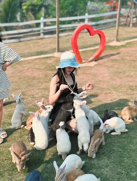 Khải Minh Open Tour