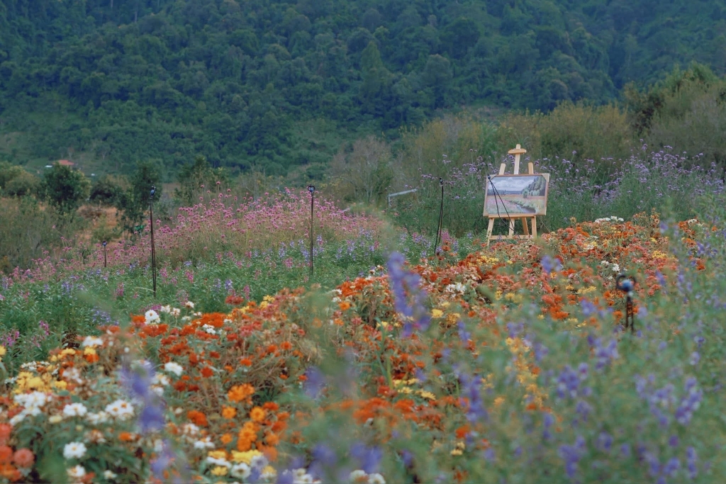 Khải Minh Open Tour