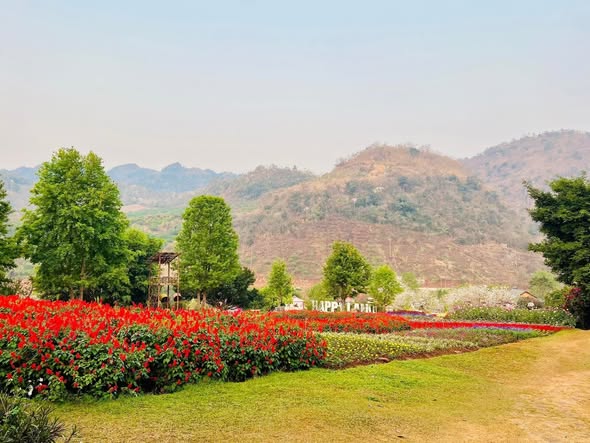 Khải Minh Open Tour