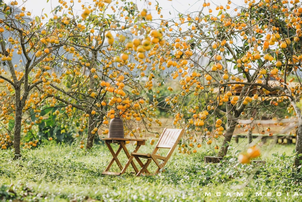 Khải Minh Open Tour