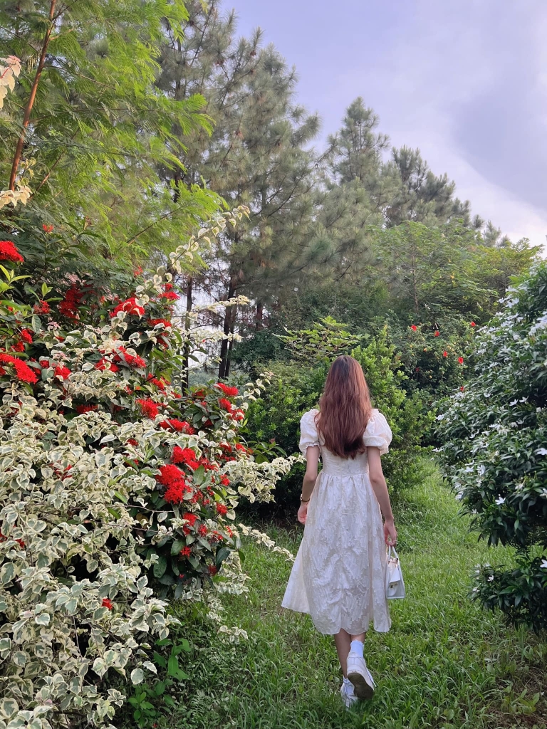 Khải Minh Open Tour