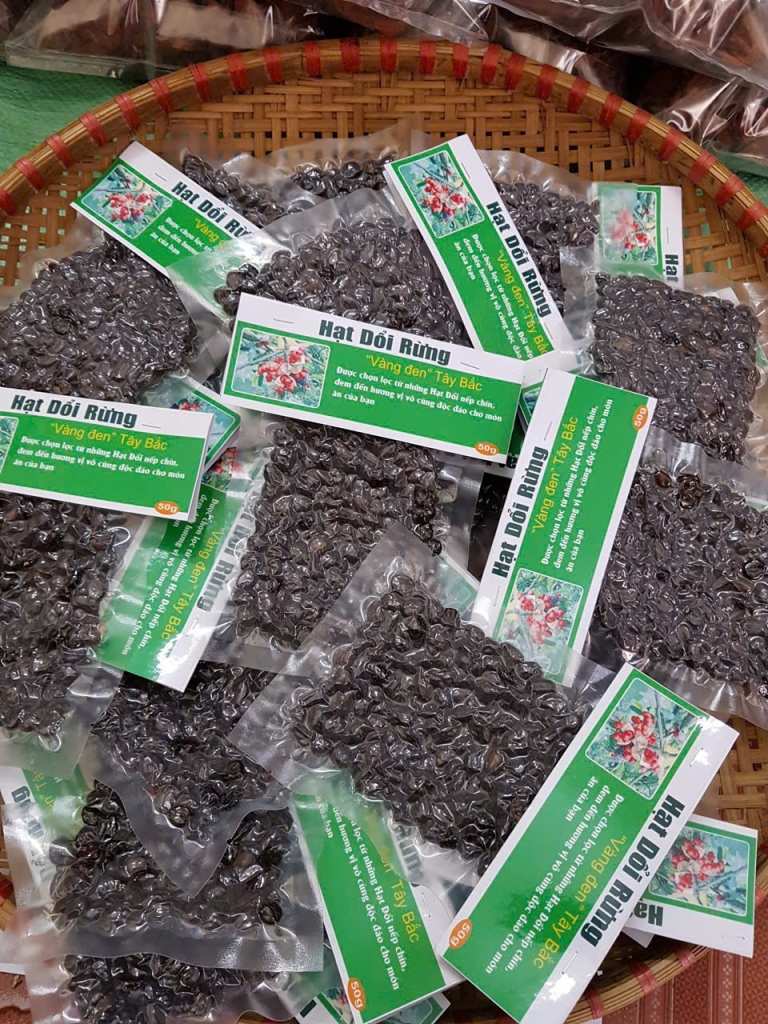 Khải Minh Open Tour