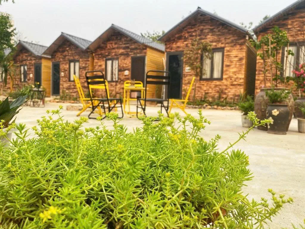Khải Minh Open Tour