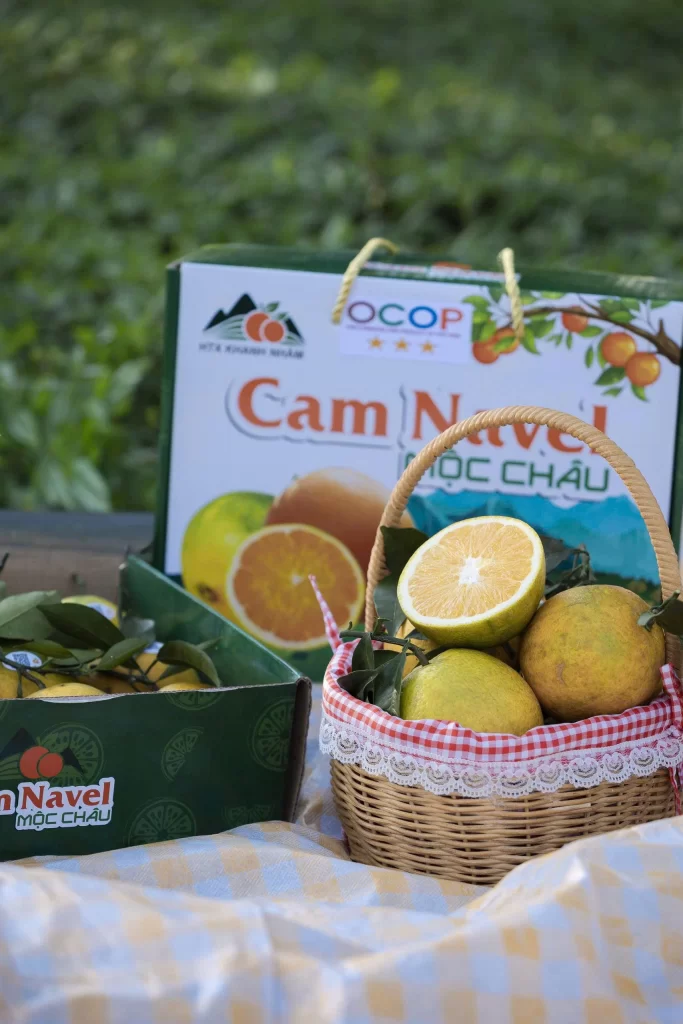 cam navel Mộc Châu
